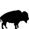 bison.png