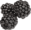 blackberries.png