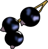 blackcurrants.png