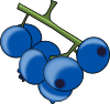 blueberries.png