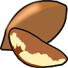 brazilnut.png