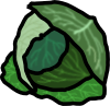 cabbage.png