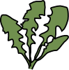 dandelion.png