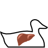 duck_liver.png