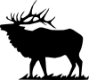 elk.png
