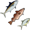 fish.png