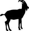 goat.png