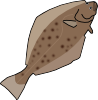 halibut.png