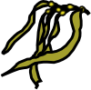 kelp.png