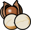 macadamia_nuts.png
