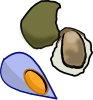 mollusks.png