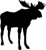 moose.png