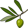 olive.png