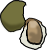 oyster.png