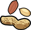 peanuts.png