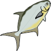 pompano.png