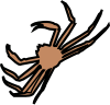 queen_crab.png