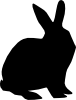 rabbit.png