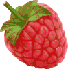 raspberry.png
