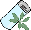 sage.png