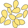 sesame_seeds.png