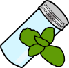 spearmint.png