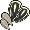 sunflower_seeds.png