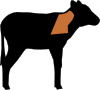 veal_shoulder.png