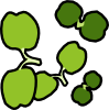 watercress.png