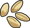 wheat.png