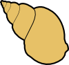 whelk.png