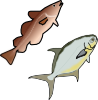 white_fish.png