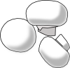 white_mushroom.png