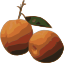 apricot.png