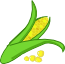 Salvado de maíz, crudo