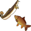 Pescados de río