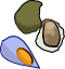 mollusks.png