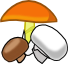 mushrooms.png