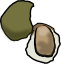 oyster.png