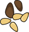 pine_nuts.png
