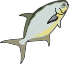 pompano.png