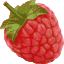 raspberry.png