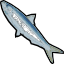 sardine.png