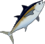 tuna.png
