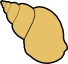 whelk.png